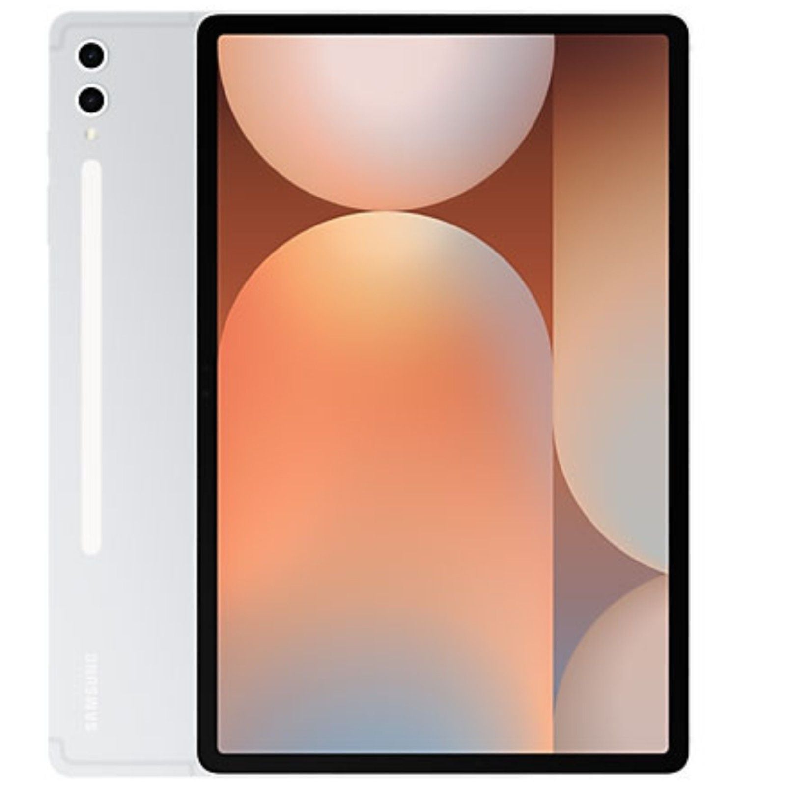 Samsung Galaxy S10 Plus Tab 