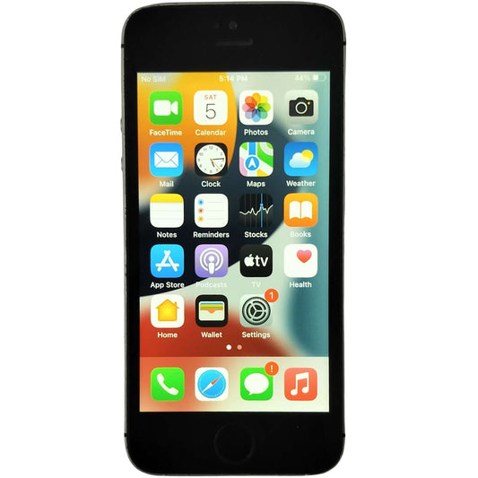 Used Apple iPhone SE 1st Gen (A1723) 64GB Space Gray - Budli